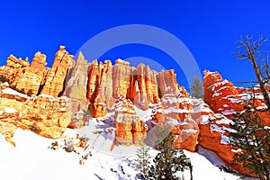 Queens Garden Trail in Bryce Canyon National Park, Utah, USA