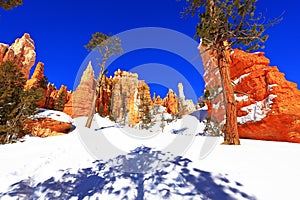 Queens Garden Trail in Bryce Canyon National Park, Utah, USA