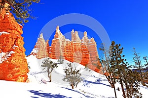 Queens Garden Trail in Bryce Canyon National Park, Utah, USA