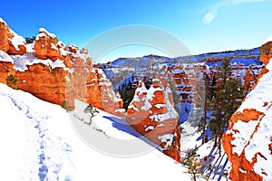 Queens Garden Trail in Bryce Canyon National Park, Utah, USA