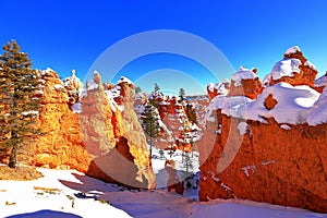 Queens Garden Trail in Bryce Canyon National Park, Utah, USA