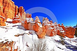 Queens Garden Trail in Bryce Canyon National Park, Utah, USA