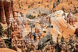 Queens Garden trail with switchbacks in Bryce Canyon National Park