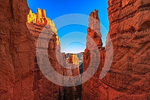 Queens Garden Trail Views , Bryce Canyon National Park, Utah