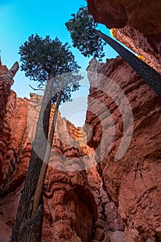 Queens Garden Trail Views , Bryce Canyon National Park, Utah