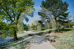 Pathway to the park photo