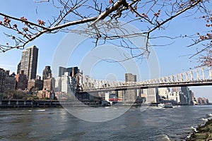 Queensboro Bridge connecting Midtown Manhattan to Roosevelt Island over the East River in New York City