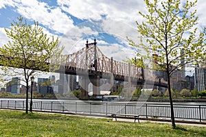 Queensbridge Park along the East River with the Queensboro Bridge and Green Trees during Spring in Long Island City Queens New Yor