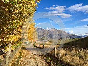 Queenstown Cycle Trail in Autumn Arrowtown