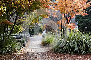 Queenstown Gardens, New Zealand