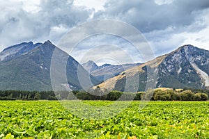 Queenstown in New Zealand. The city of adventure and nature.