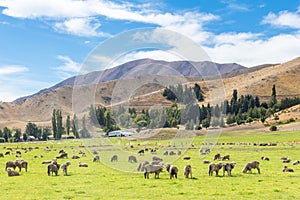 Queenstown in New Zealand. The city of adventure and nature.