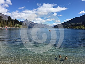 Queenstown Waterfront turquoise crystal clear water on sunny day