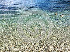 Queenstown Waterfront turquoise crystal clear water on sunny day