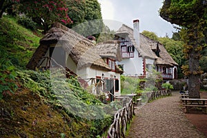 Queimadas Forest Park in Santana, Madeira Island, Portugal, Europe.