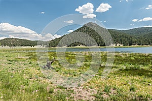 Landscape Quemado Lake, New Mexico photo