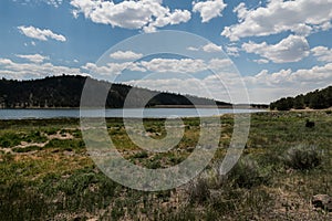 Quemado Lake grass, New Mexico photo