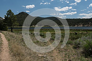 Quemado lake hiking trail, New Mexico photo