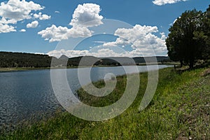 Quemado Lake, N.M. shoreline photo