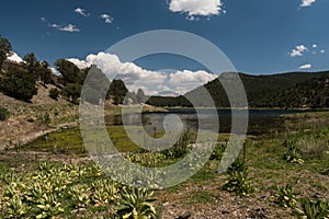 Quemado Lake north western view, New Mexico photo