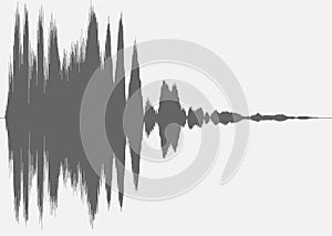 Quenacho flutes signals