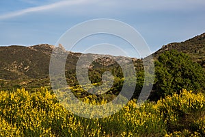 Queribus Cathar Castle Exterior Walls and Ruins on the Crest of the Hill in Aude France