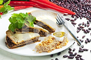 quesadilla with minced beef and chopped beans