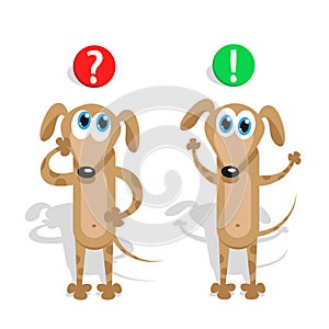 Question and answer in the mind at a pet puppy