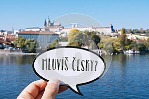Question do you speak Czech? in Czech