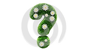 Question mark grass font with flower chamomile isolated on white background. Concept of grassed question symbol. Metaphor for