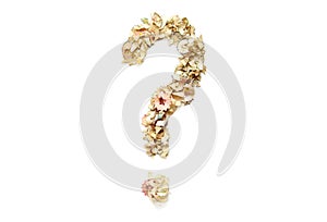 Question Mark made from Shavings