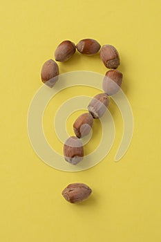 a question mark made of walnuts. The concept of frequently asked questions