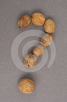 A question mark made of walnuts. The concept of frequently asked questions