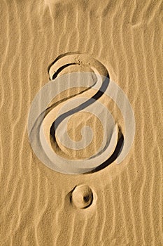 Question mark in the sand