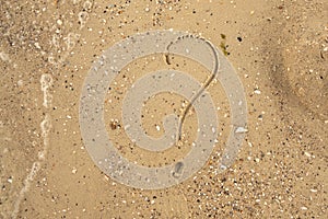 question mark on the sand