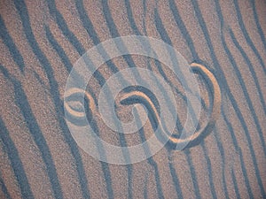 Questionmark in sand