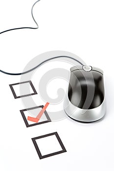 Questionnaire and computer mouse