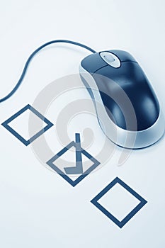 Questionnaire and computer mouse