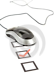 Questionnaire and computer mouse
