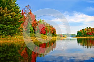 Quetico Lake Autumn Shoreline, Quetico, Ontario