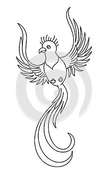 Quetzal bird. Editable outline stroke. Vector line illustration.