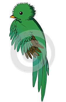 Quetzal
