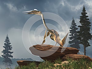 Quetzalcoatlus