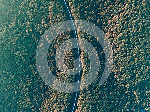 The queue of trucks standing on the road. Top view of the trucks.