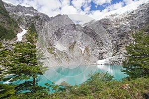 Queulat National Park, Chile. photo