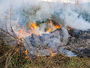 Quickly spreading wildfire close up shot, negligent people causing the fire