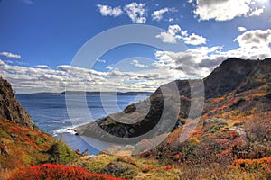 Quidi Vidi Cove Newfoundland