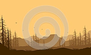 Quiet afternoons with fantastic natural scenery as a background. Vector illustration