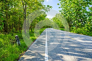 A quiet asphalt road in countryside