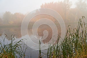 A quiet autumn dawn over the lake in sunlight. Fresh fog creeps over the ground